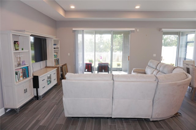 living area featuring dark wood finished floors and recessed lighting