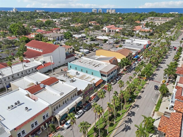 bird's eye view