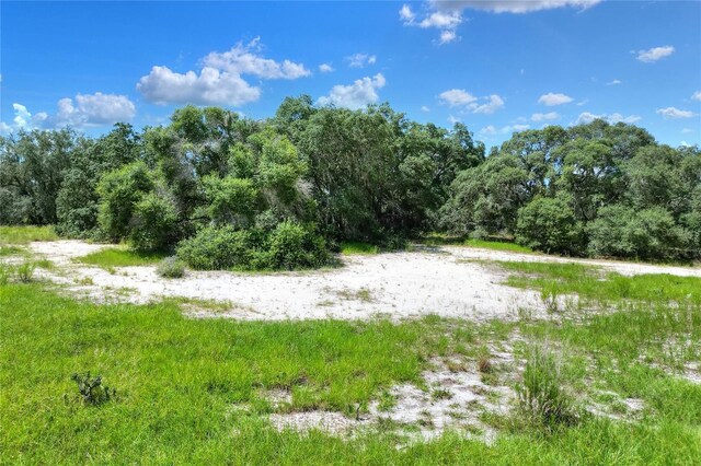Anderson Rd, Lake Wales, FL 33898 - photo 5