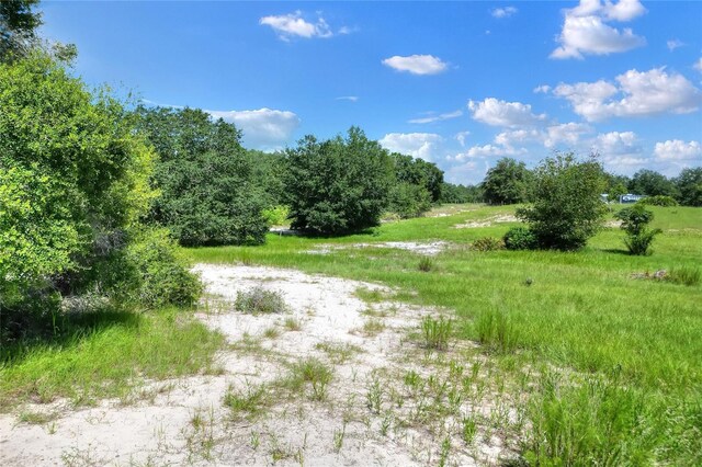 Anderson Rd, Lake Wales, FL 33898 - photo 7