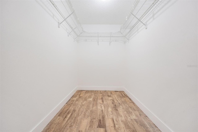 spacious closet featuring wood-type flooring