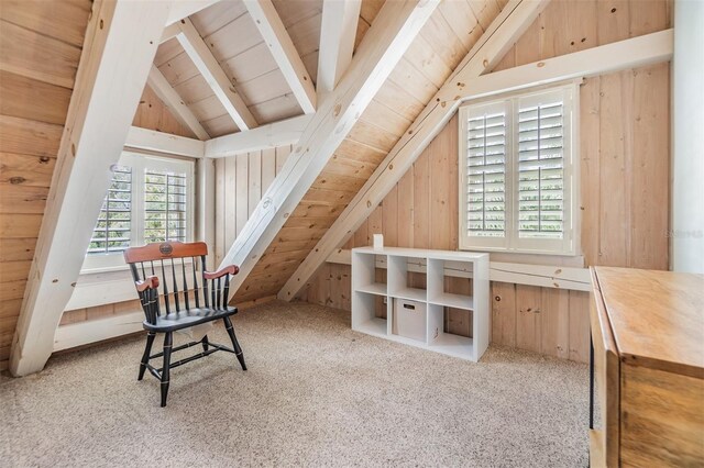 2118 Harbour Watch Dr, Tarpon Springs, FL 34689 - carpeted home office with wood ceiling