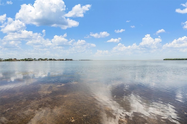 2118 Harbour Watch Dr, Tarpon Springs, FL 34689 - water view