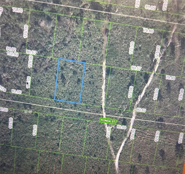 8128 Ronda St, Sebring FL, 33872 land for sale