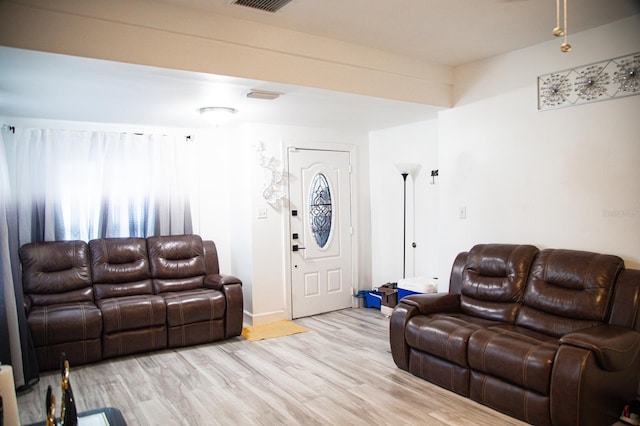 living room featuring light hardwood / wood-style flooring