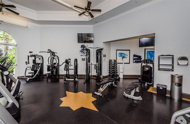 workout area with ornamental molding, ceiling fan, and a tray ceiling