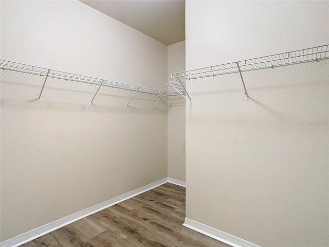 spacious closet featuring dark hardwood / wood-style flooring