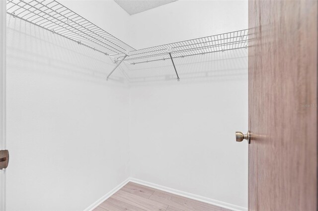 walk in closet featuring light hardwood / wood-style flooring