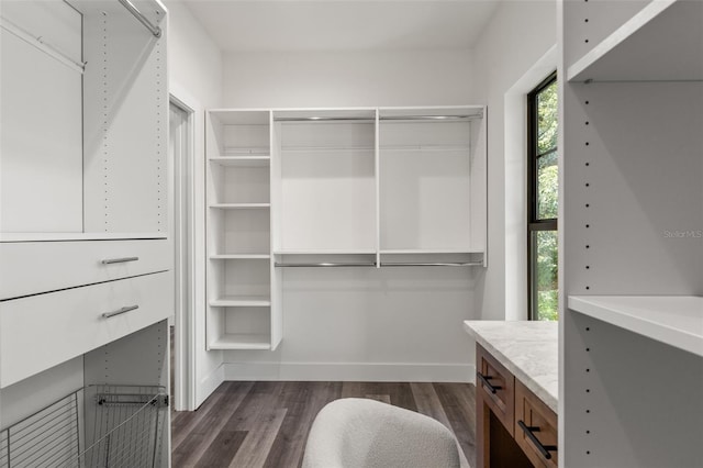 walk in closet with dark hardwood / wood-style flooring