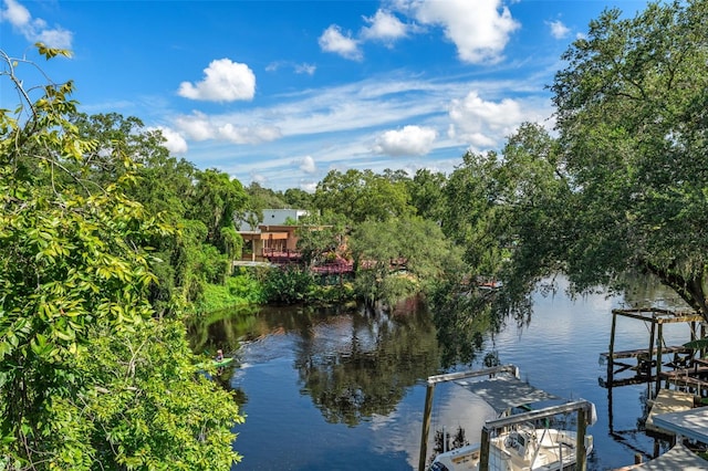 dock area with a water view