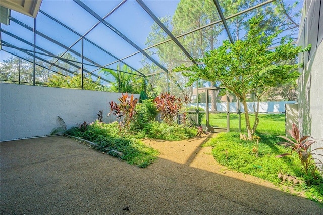 view of yard featuring a patio area and a lanai