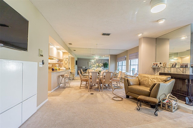 carpeted living room with a textured ceiling