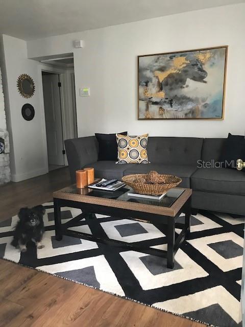 living room with wood-type flooring