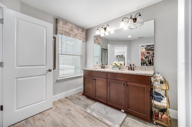 bathroom with hardwood / wood-style flooring and vanity