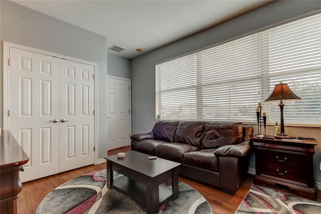 living room featuring wood-type flooring