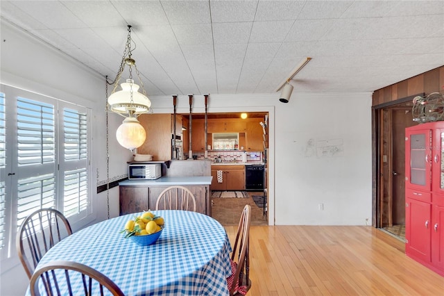 dining space with track lighting, light hardwood / wood-style flooring, wooden walls, and a healthy amount of sunlight