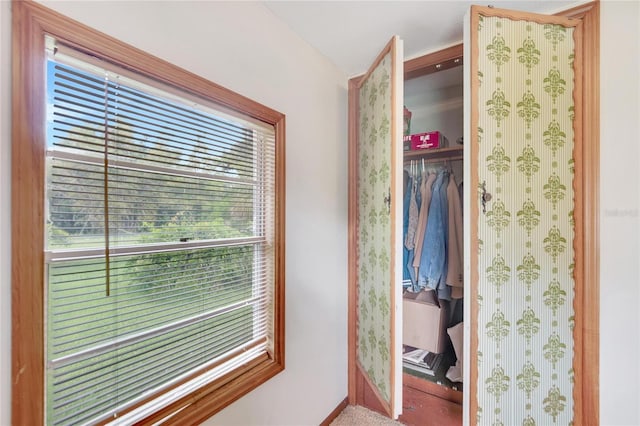 view of closet