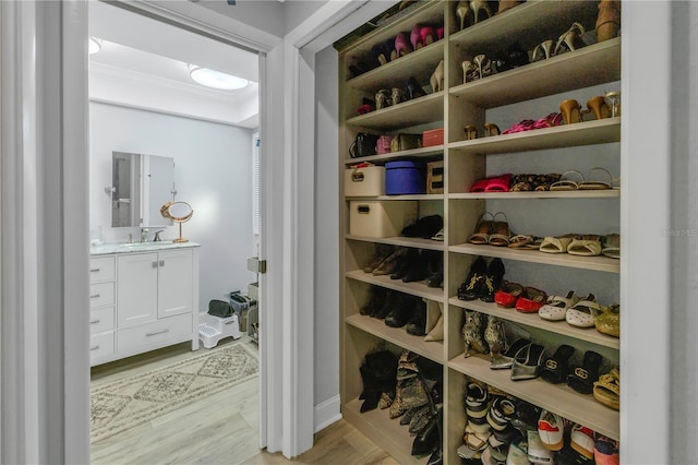 spacious closet featuring light wood-type flooring and sink