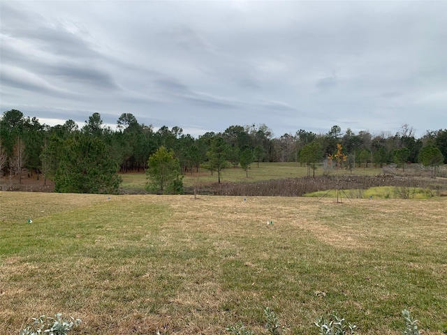 view of yard with a rural view