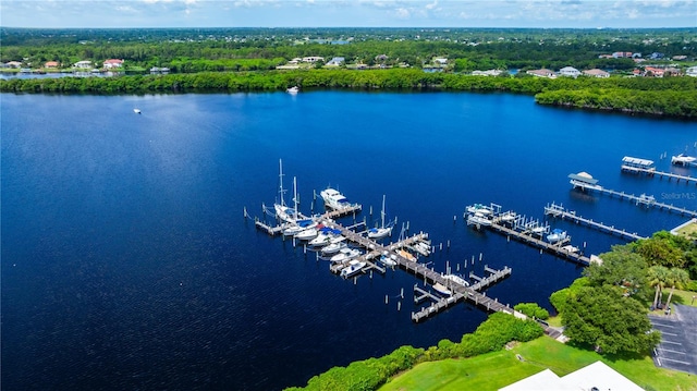 aerial view with a water view