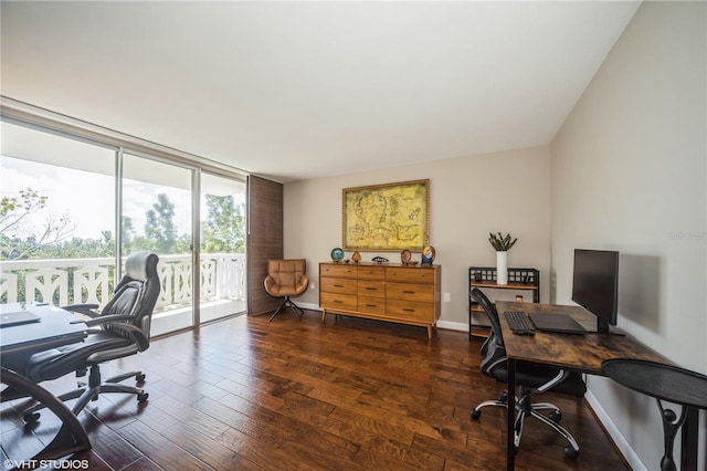 2630 Pearce Dr Unit 404, Clearwater, FL 33764 - office area featuring floor to ceiling windows, baseboards, and wood finished floors