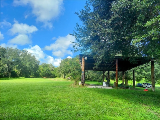 12016 Bullfrog Creek Rd, Gibsonton, FL 33534