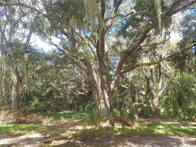 12016 Bullfrog Creek Rd, Gibsonton, FL 33534