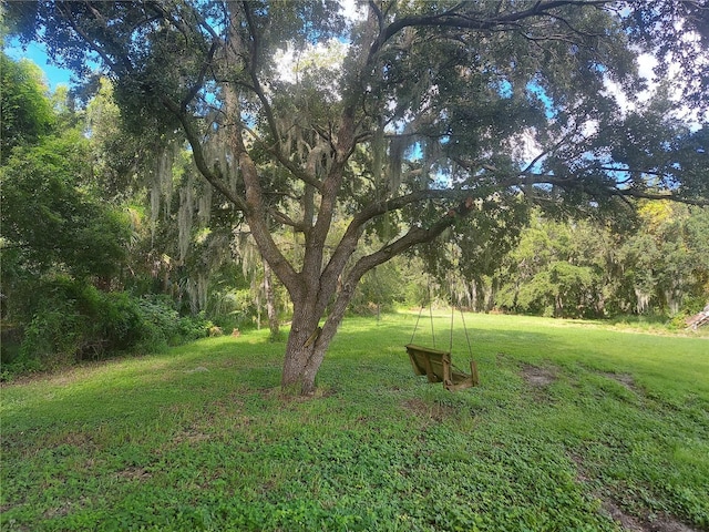 12016 Bullfrog Creek Rd, Gibsonton, FL 33534