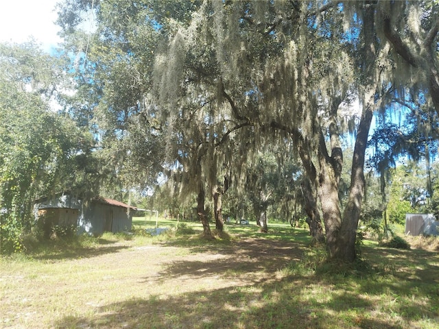 12016 Bullfrog Creek Rd, Gibsonton, FL 33534