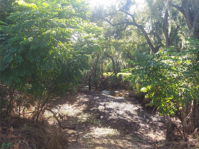 12016 Bullfrog Creek Rd, Gibsonton, FL 33534