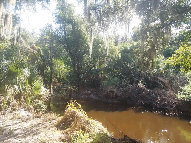 12016 Bullfrog Creek Rd, Gibsonton, FL 33534