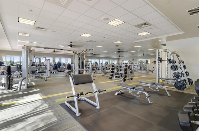 gym with ceiling fan, a drop ceiling, and a healthy amount of sunlight