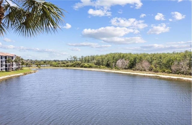 9566 Trevi Ct Unit 4935, Naples, FL 34113 - photo 30