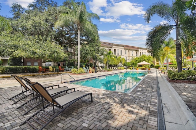 view of swimming pool with a patio