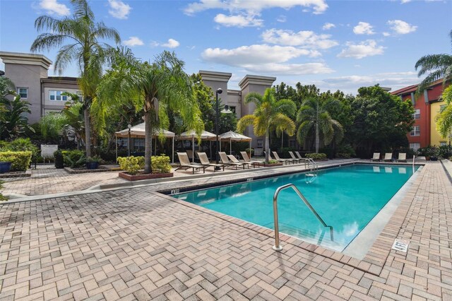 view of pool featuring a patio area