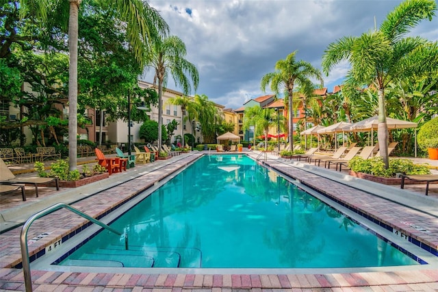 view of pool featuring a patio