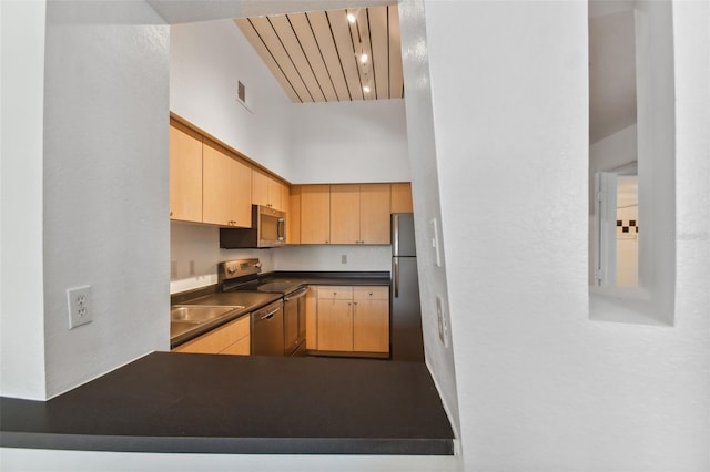 kitchen with stainless steel appliances and light brown cabinetry