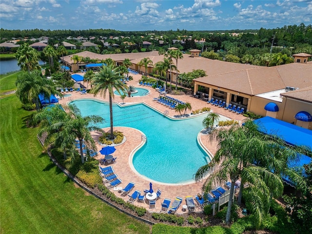 view of pool with a yard and a patio area