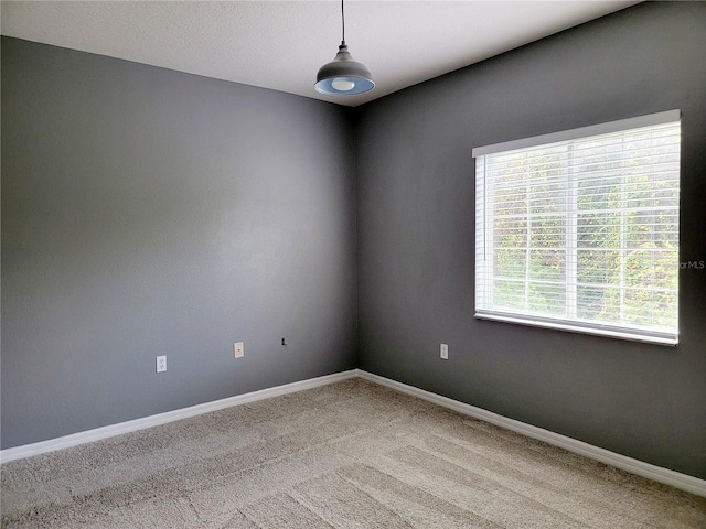 empty room featuring carpet