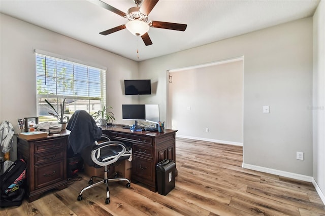 office space with ceiling fan and light hardwood / wood-style flooring