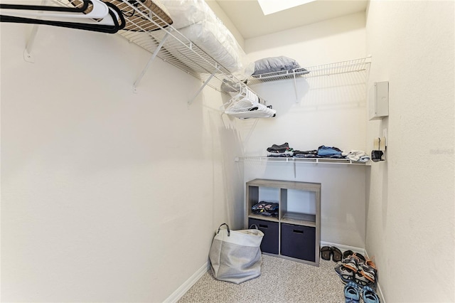 spacious closet with carpet floors