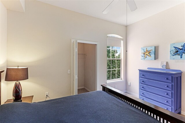 bedroom with ceiling fan, a closet, and a spacious closet