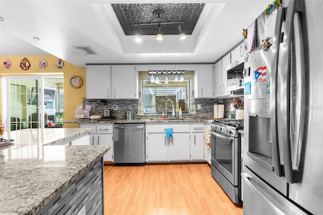 kitchen with light hardwood / wood-style flooring, light stone counters, appliances with stainless steel finishes, and a tray ceiling