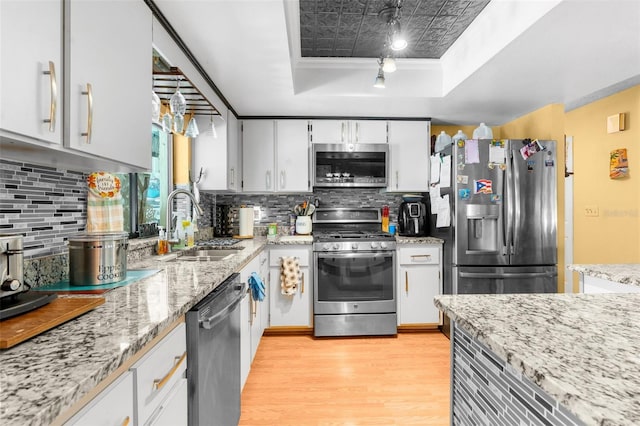 kitchen with a raised ceiling, light hardwood / wood-style flooring, stainless steel appliances, and decorative backsplash