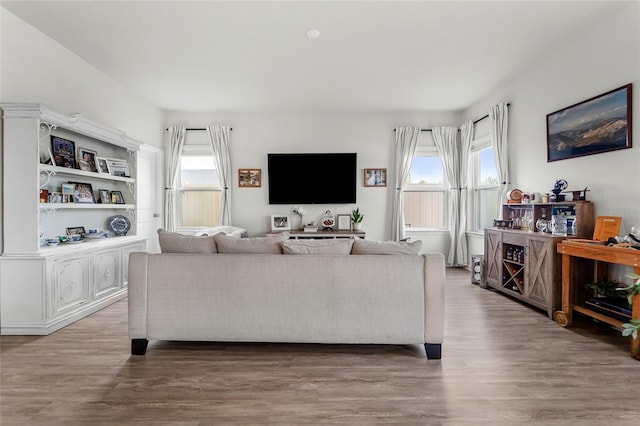 living room featuring wood finished floors