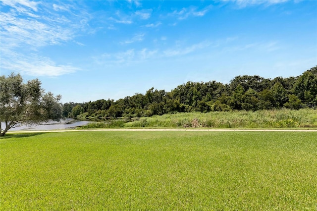 view of yard with a water view