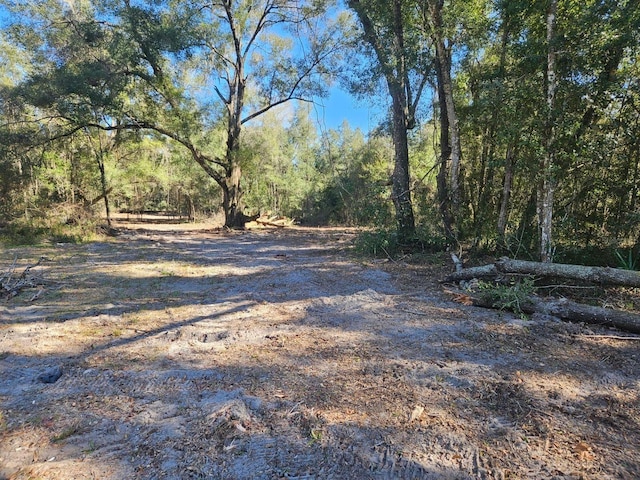 Listing photo 3 for 00 NE 23th, Citra FL 32113