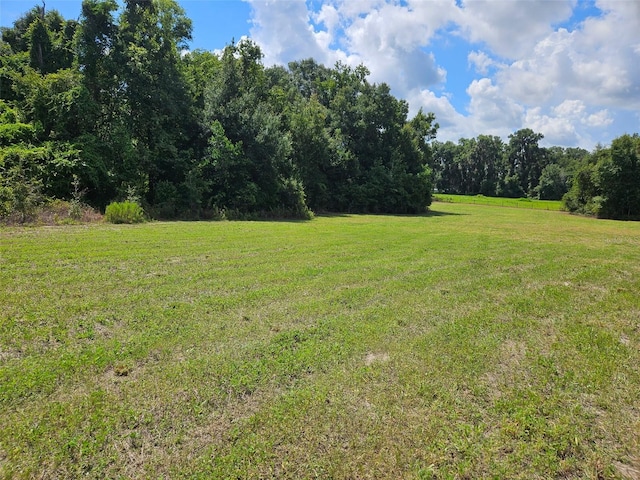 00 NE 23th, Citra FL, 32113 land for sale