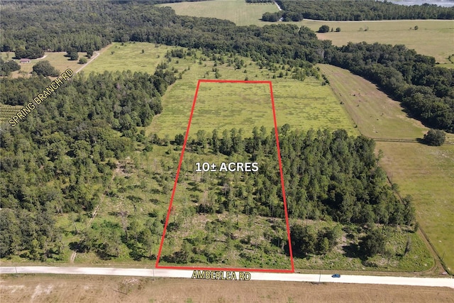 Amberlea Rd, Dade City FL, 33523 land for sale