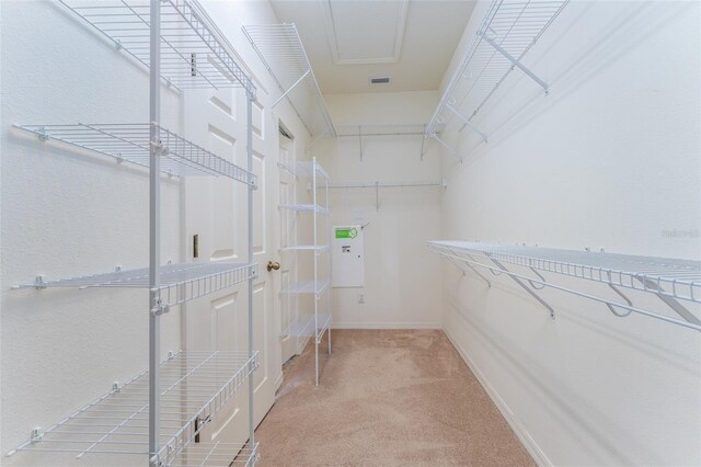 walk in closet featuring light colored carpet